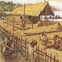 Néolithique