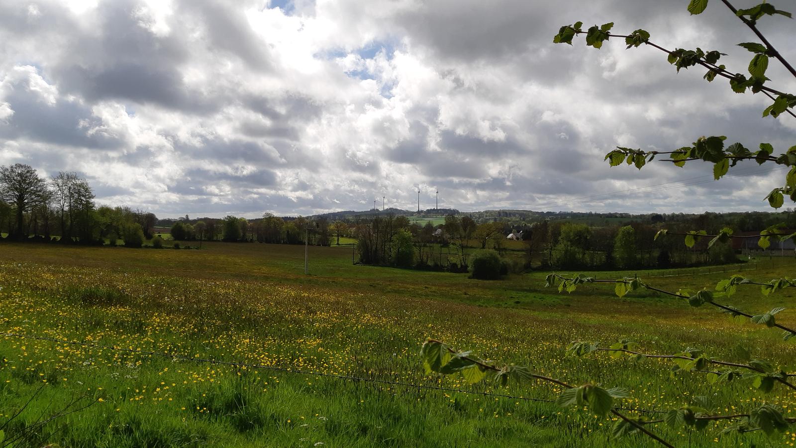 Eoliennes à l'horizon