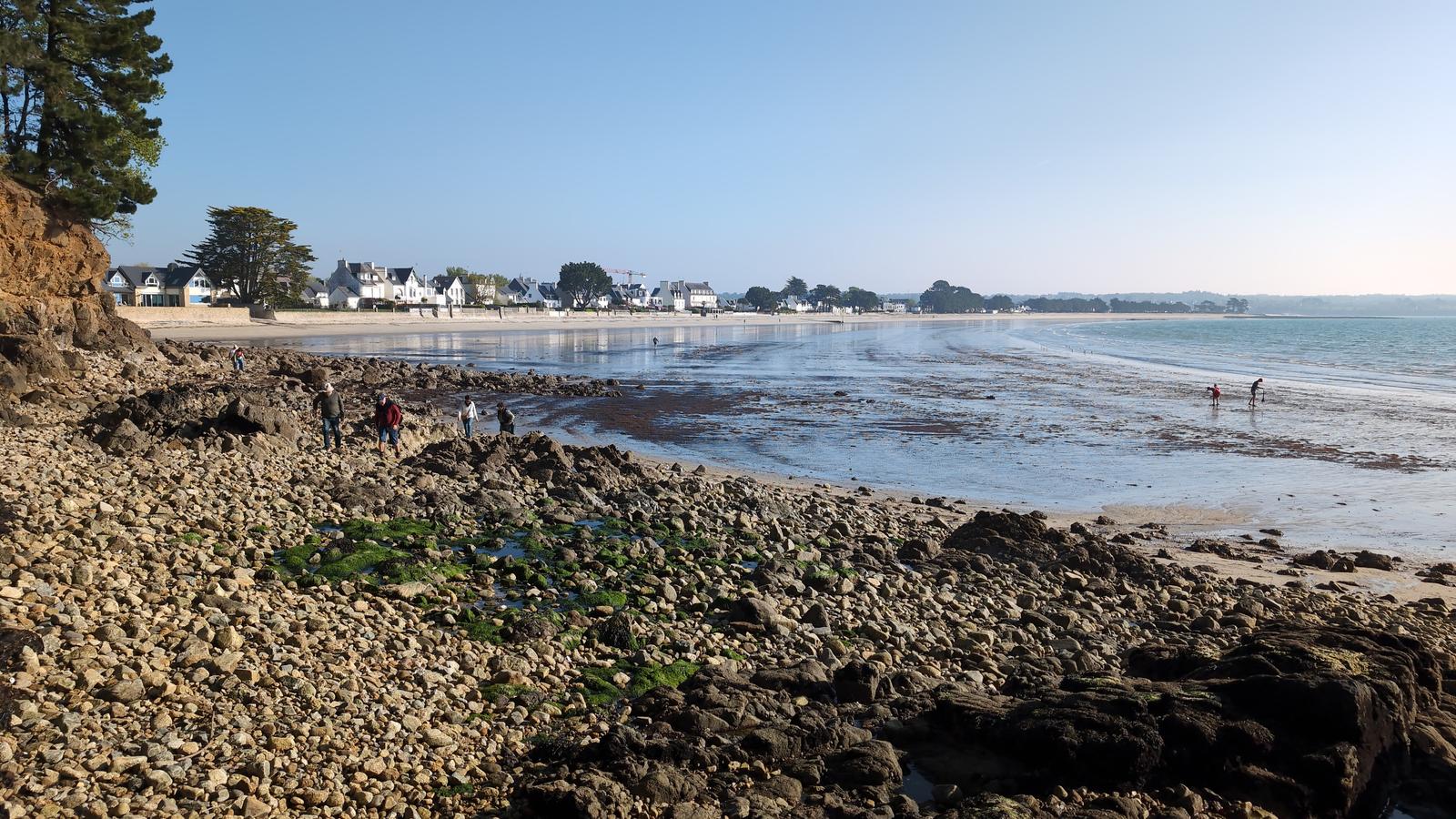 Estuaire de l'Odet