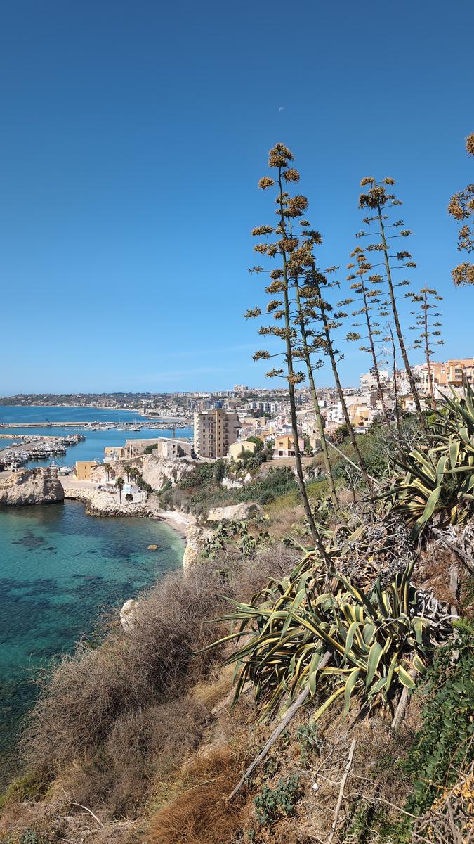 Le port