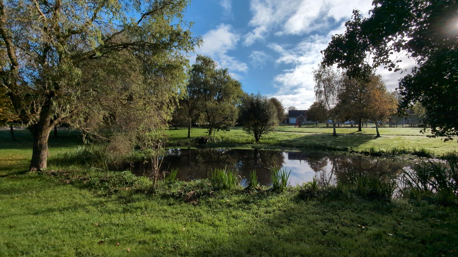 Le parc d'Hudimesnil