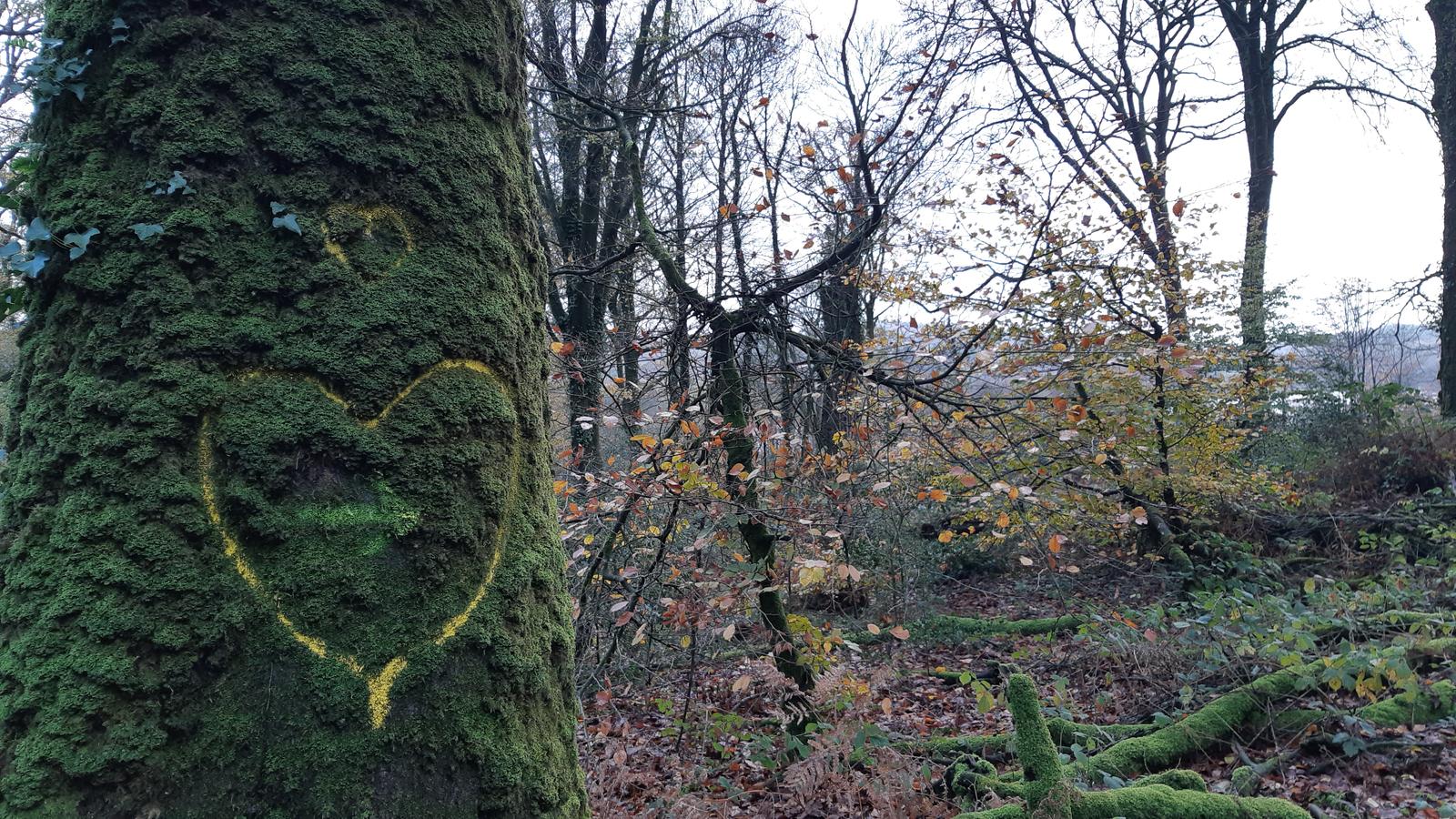 Arbre à cœur