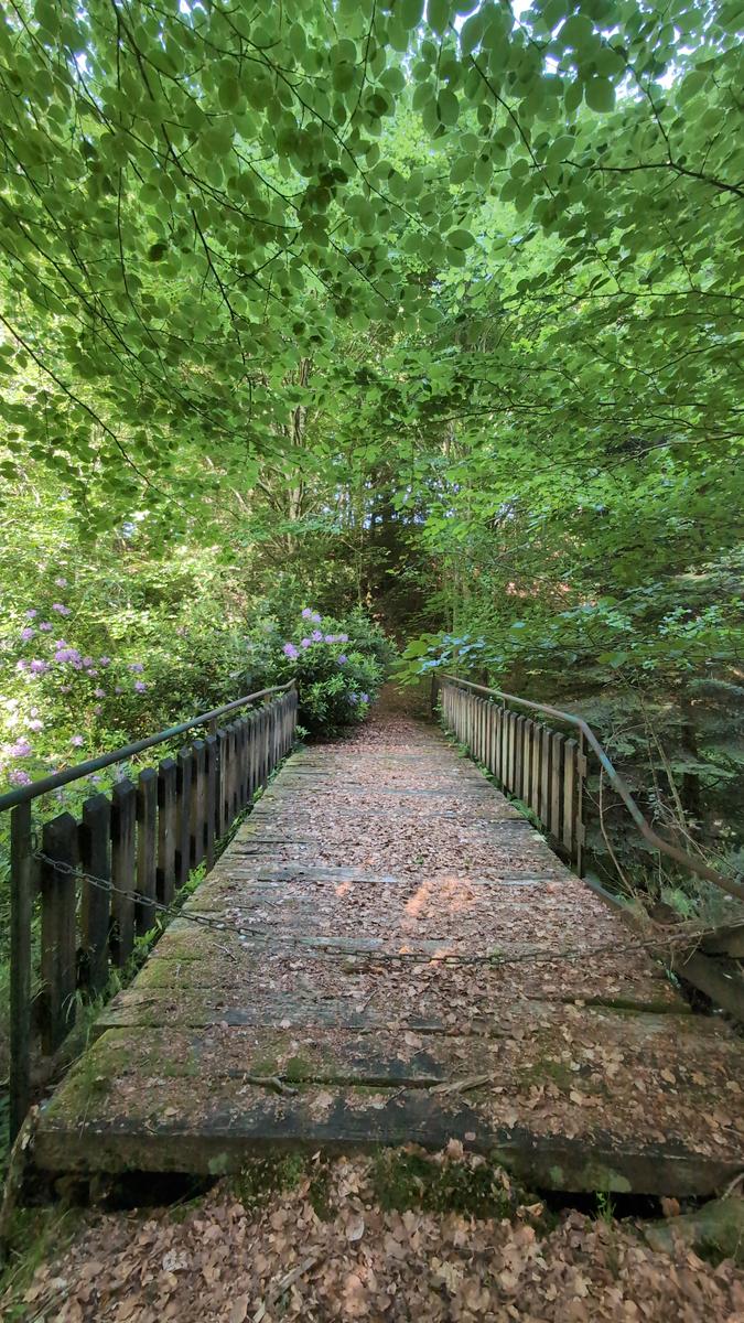 Le pont aux rhododendrons 