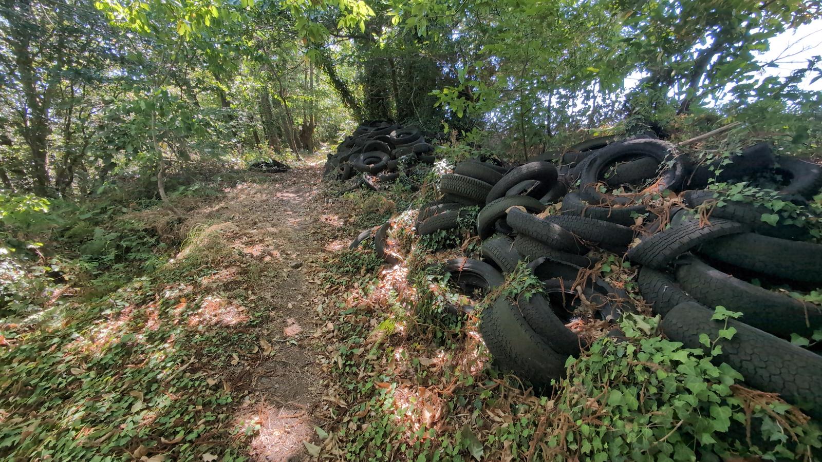 Joli chemin ombragé entre pneus