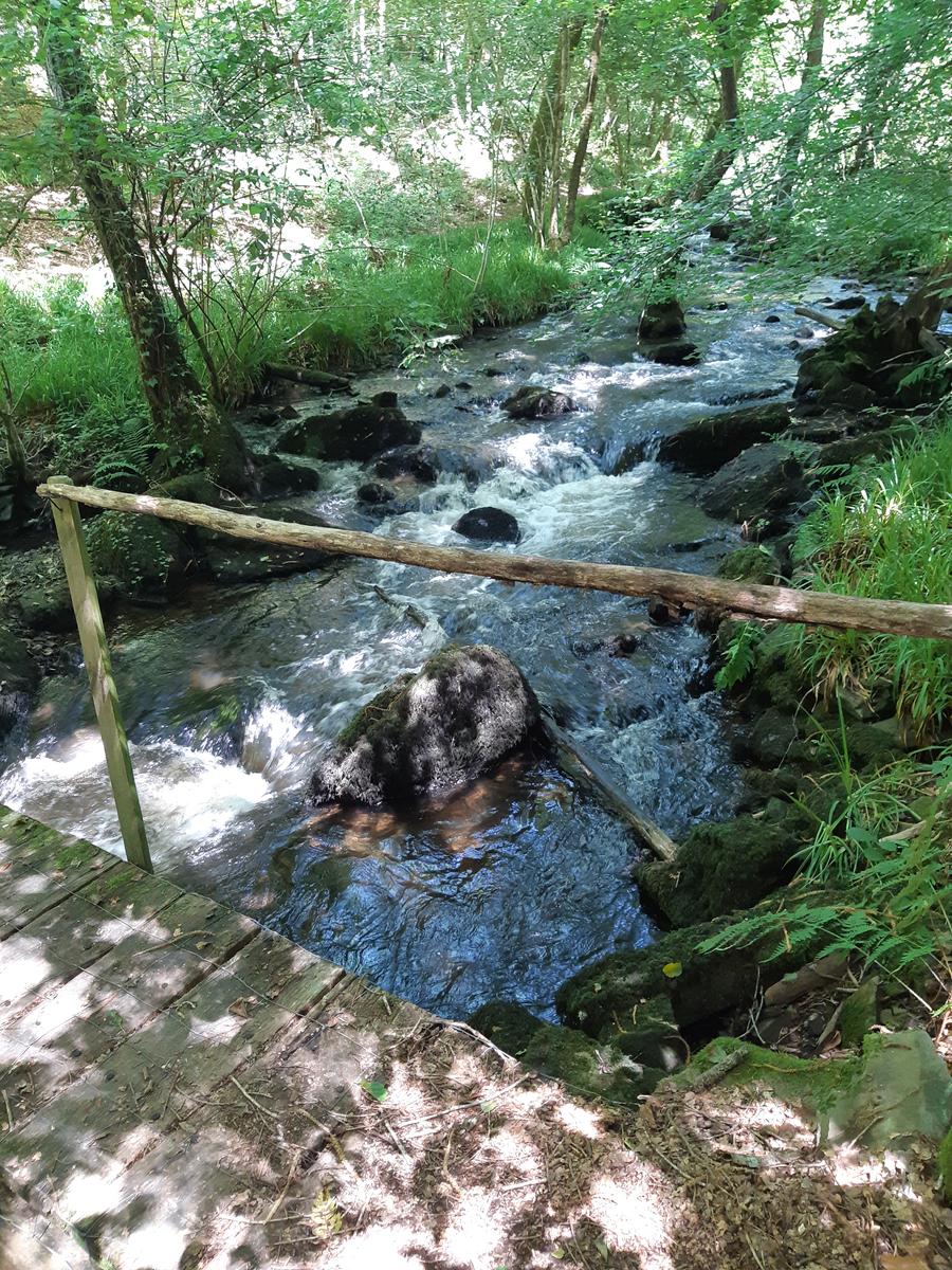 Torrent impétueux…