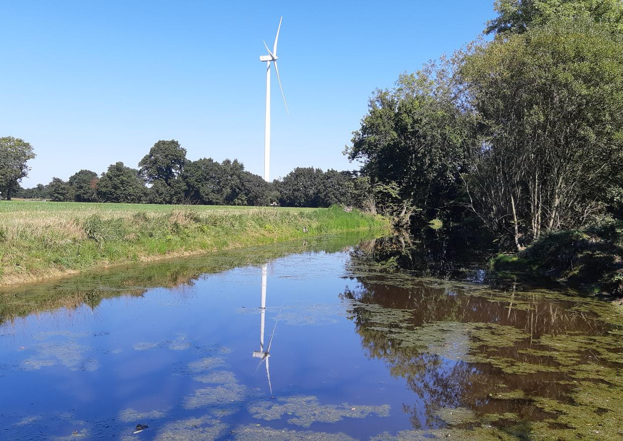 Eolienne qui se mire dans la mare