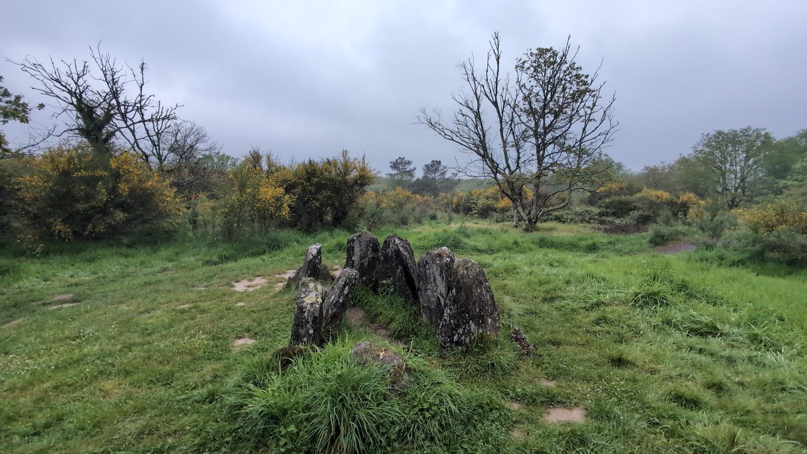 Hotié de Viviane