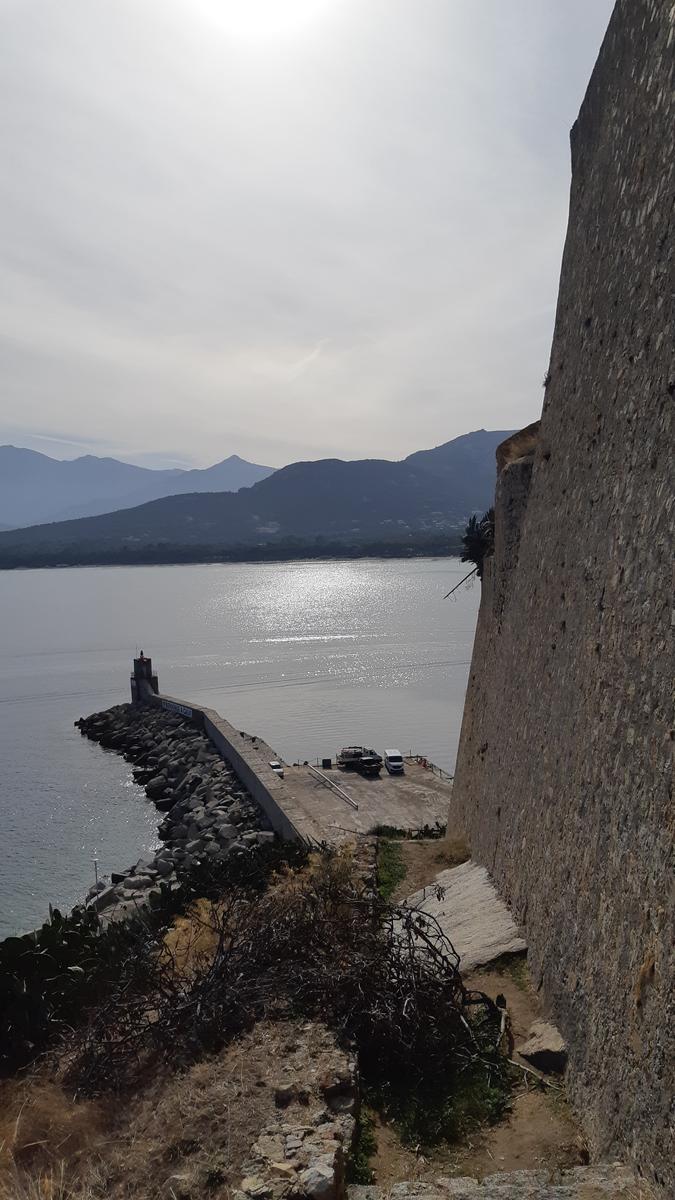 Calvi
